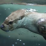 Plzeň a udržitelná móda: Kde nakupovat s vědomím