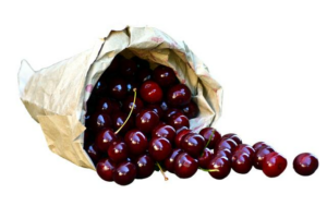 Pytlík na praní mikroplastů: Řešení pro domácnost 4 Pytlík na praní mikroplastů: Řešení pro domácnost