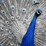 Next Second Hand: Recenze, Proč Nakupovat Zde