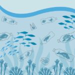 Kdo Rozhoduje, Co Je Odpad? Základní Průvodce