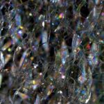 Elektrospotřebiče: Jak je vyhodit a obnovit techniku?