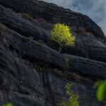 Česká udržitelná móda: Přední domácí značky