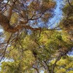 Co Vše Lze Třídit: Rozšiřte Své Udržitelné Horizonty 2 Co Vše Lze Třídit: Rozšiřte Své Udržitelné Horizonty