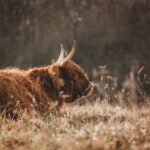 Jak Správně Třídit Prádlo: Návod pro Každou Domácnost