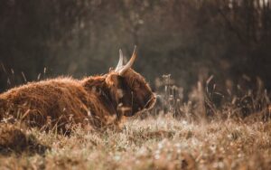 Jak Správně Třídit Emaily v Outlooku: Návod 7 Jak Správně Třídit Emaily v Outlooku: Návod